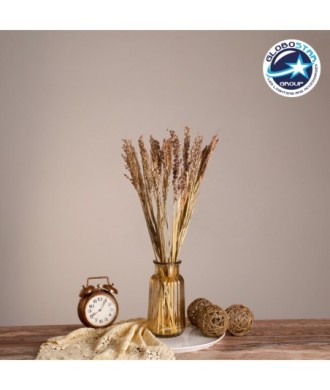 GloboStar® BROOMCORN 36540 Αποξηραμένο Φυτό Γλυκό Σόργο - Μπουκέτο Διακοσμητικών Κλαδιών Μπεζ - Καφέ Υ60cm - Σετ 20 τμχ